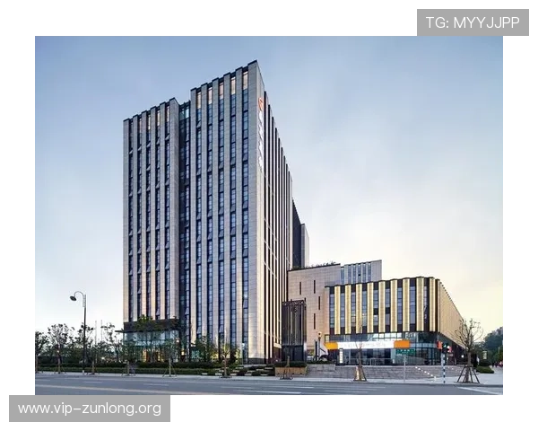 尊龙凯时平台是干嘛的详细介绍及其主要功能解析