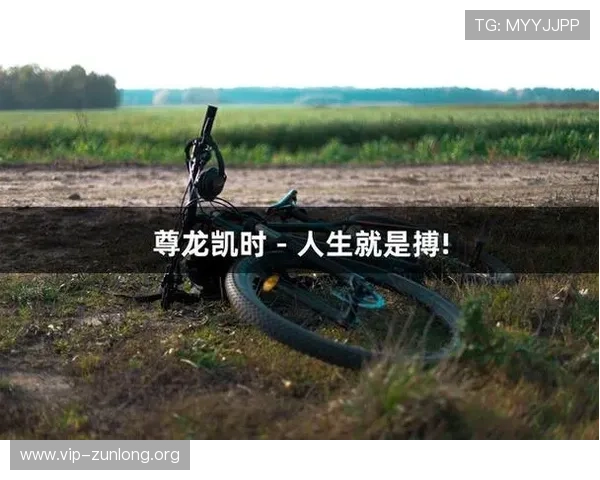 探索尊龙凯时人生就是搏网址如何帮助玩家实现财富自由与梦想成真的实用攻略